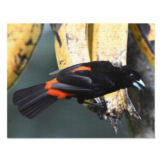 Bird-Themed Jigsaw Puzzle with Tin - Perfect Gift for Nature Lovers, Family Game Night, Eco-Friendly Home Decor, Educational Activity.