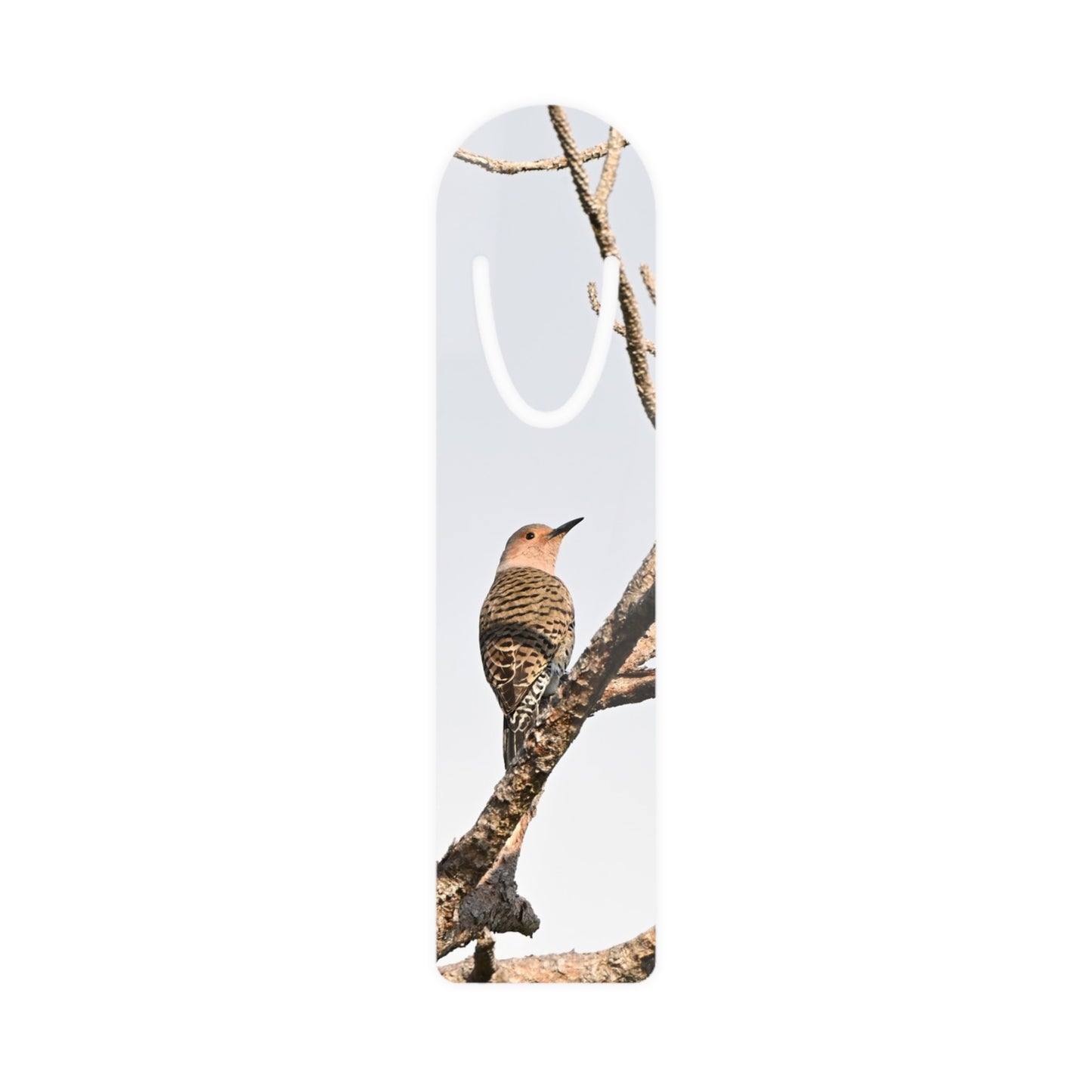 Woodland Bird Metal Bookmark — Elegant Bird on Branch Reading Marker