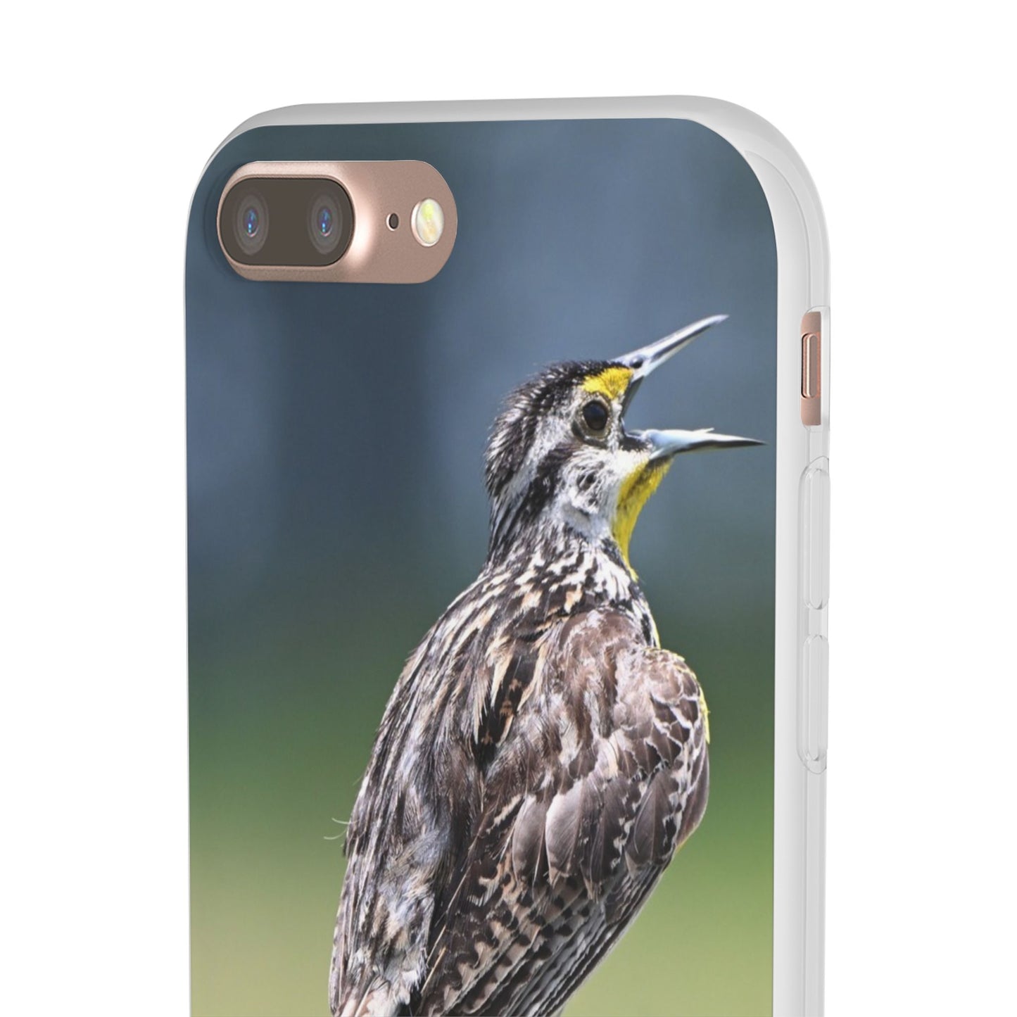 Singing Meadowlark Phone Case – Nature Bird Photo Flexi Case