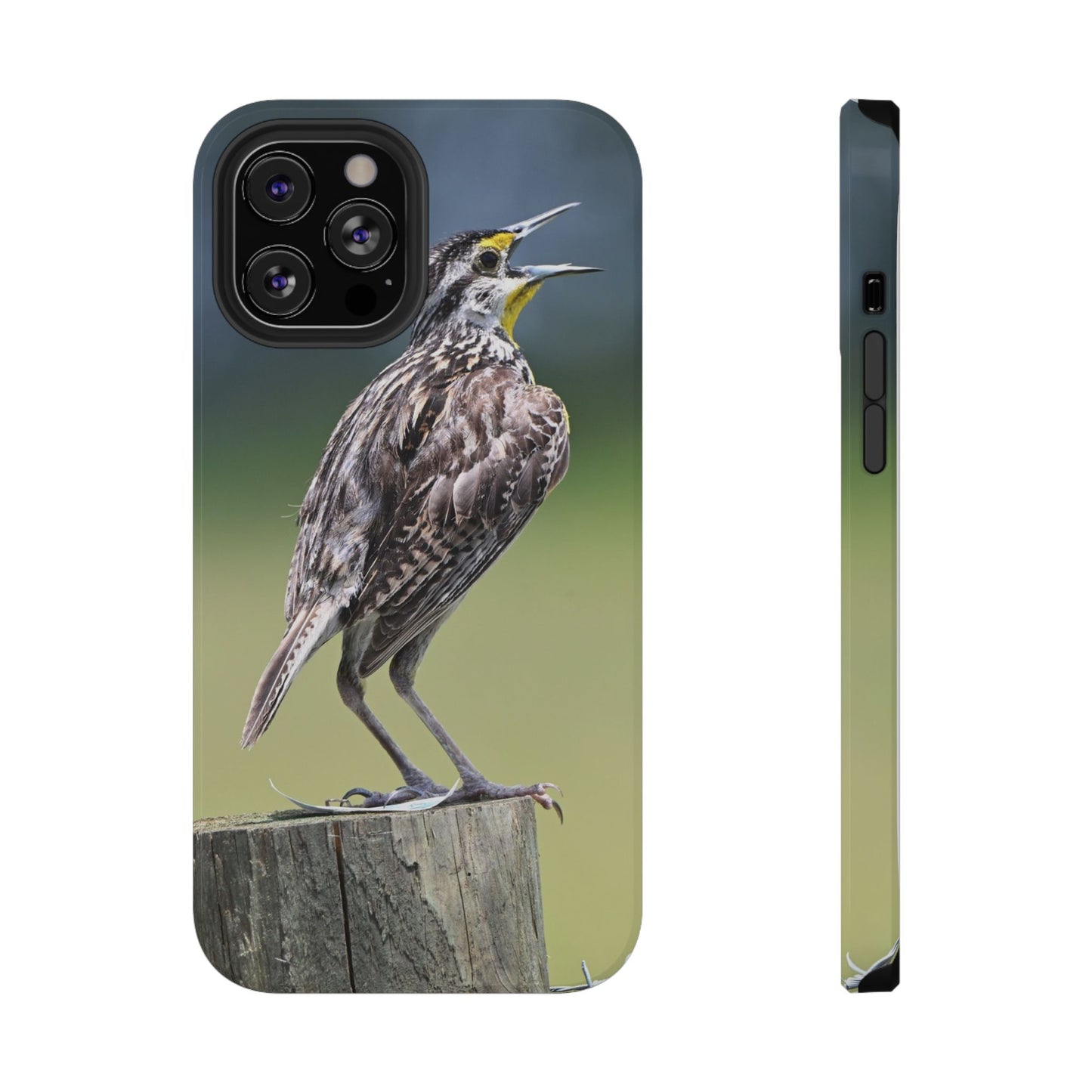 Western Meadowlark Photo Phone Case — Impact-Resistant Protective Cover