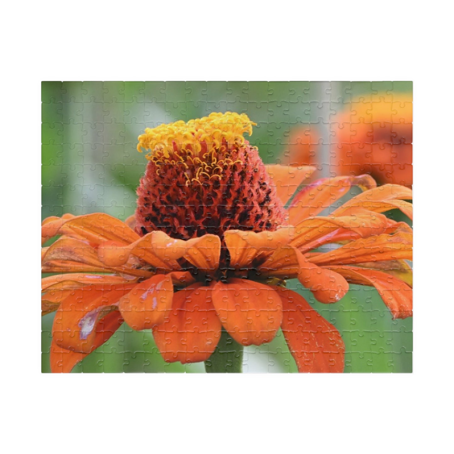 Zinnia Bloom Jigsaw Puzzle — 110/252/520/1014-Piece Floral Puzzle for Relaxation & Gifts