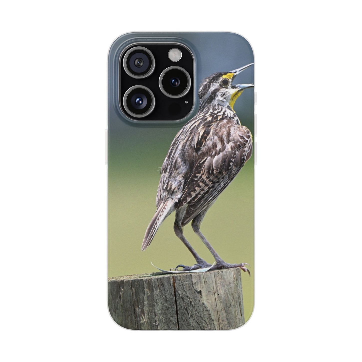 Singing Meadowlark Phone Case – Nature Bird Photo Flexi Case