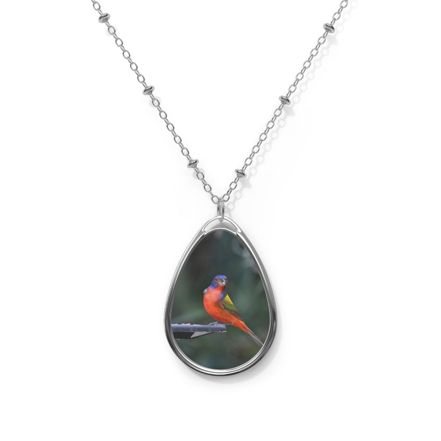 Colorful Bird Oval Necklace - Nature Jewelry, Bird Lover Gift, Pendant Necklace for Her, Boho Style Accessory, Gift for Bird Enthusiasts