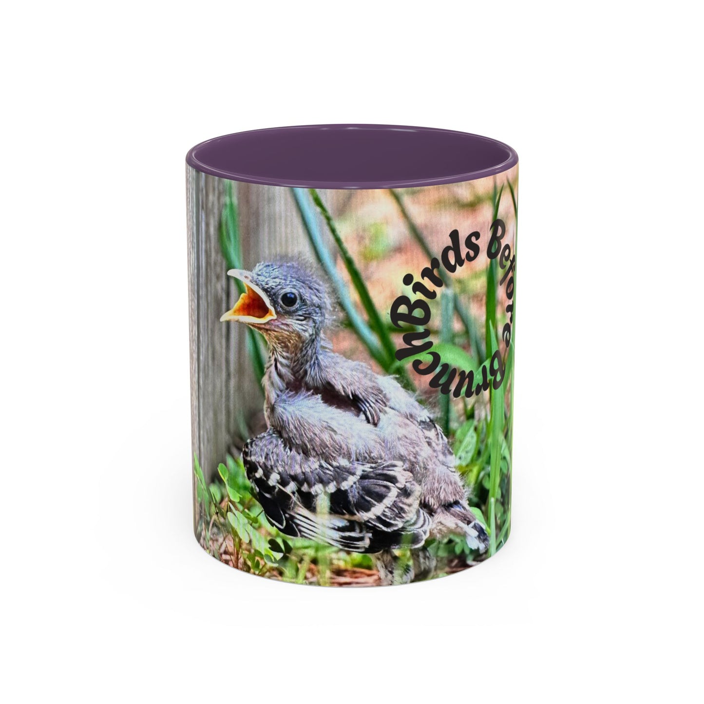 Charming Bird-Themed Coffee Mug, Perfect Gift for Bird Lovers, Nature Enthusiasts, Birdwatching, Home Decor, Birthday Present