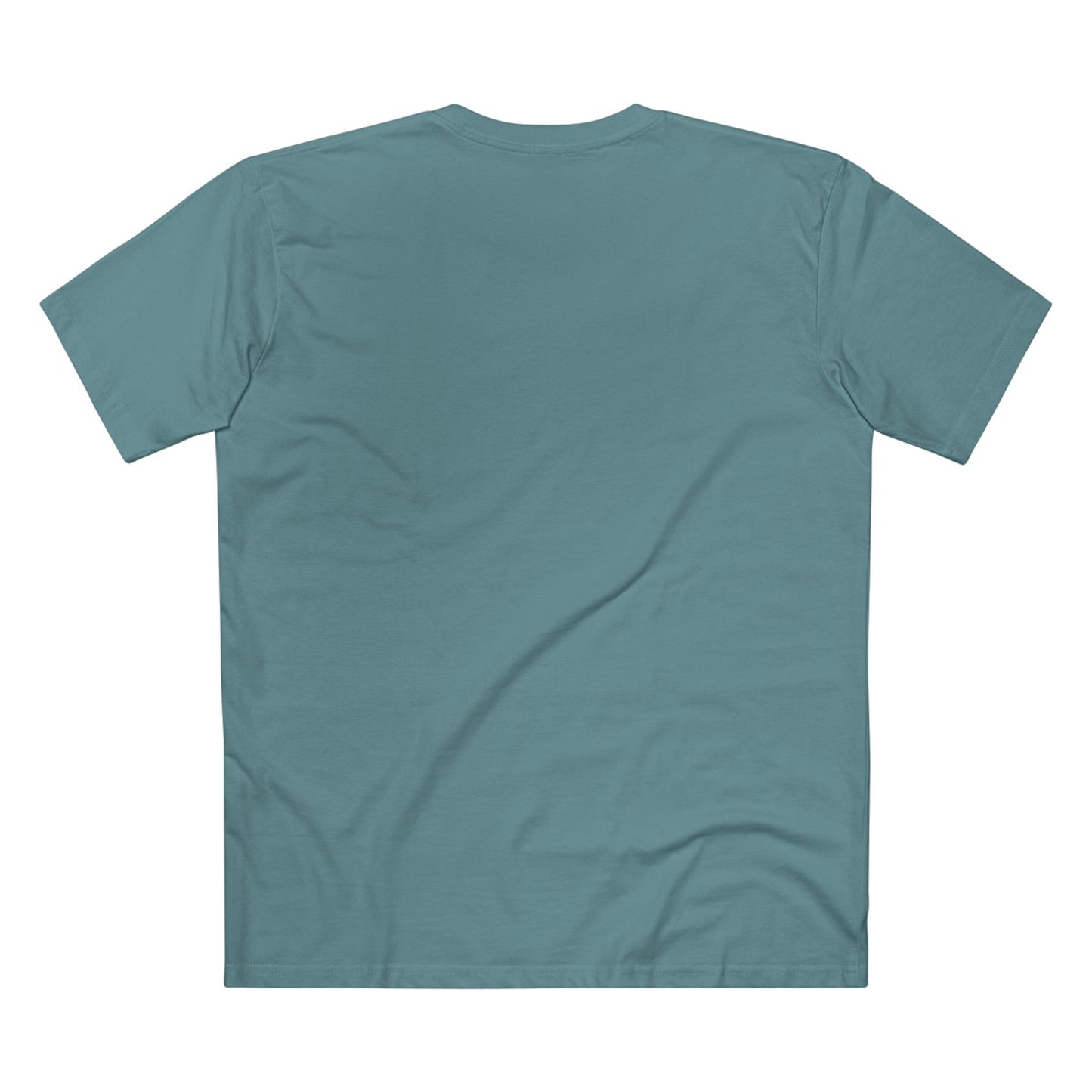 Turtle Photo Tee — 'Hold Your Head Up' Graphic Shirt