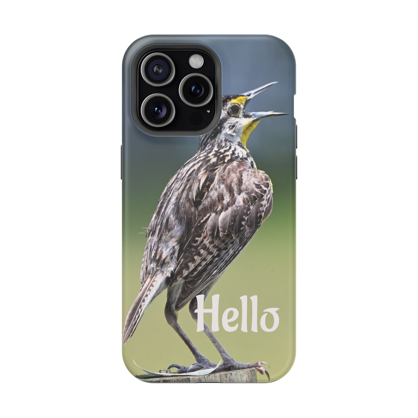 Bird-Themed Magnetic Tough Cases with 'Hello', Stylish Phone Protectors, Gifts for Nature Lovers, Birdwatching Accessories, Wildlife [...]