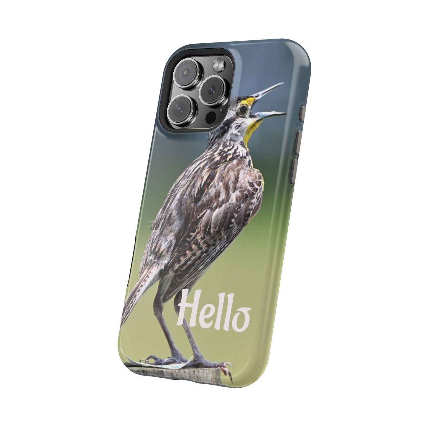 Bird-Themed Magnetic Tough Cases with 'Hello', Stylish Phone Protectors, Gifts for Nature Lovers, Birdwatching Accessories, Wildlife [...]
