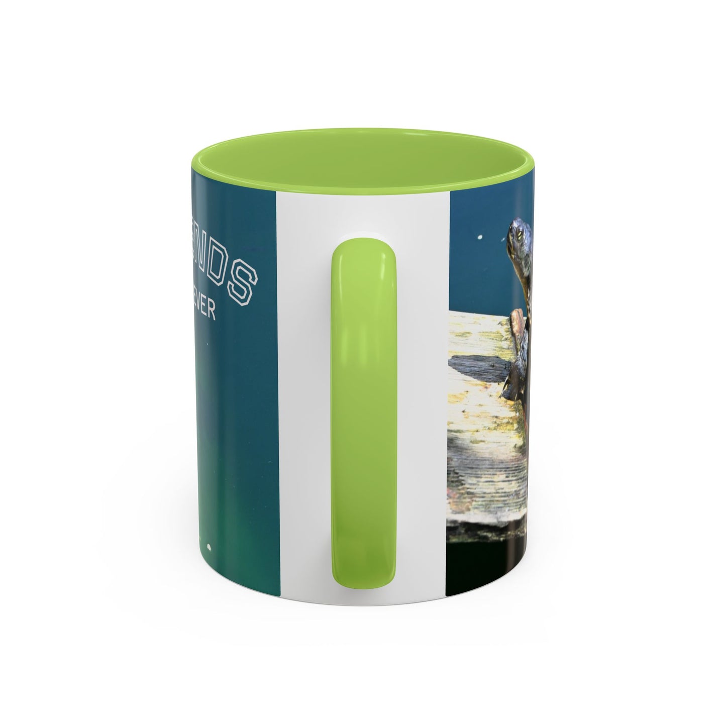 Friends Forever Turtle Accent Coffee Mug — 11/15oz Gift for Animal Lovers