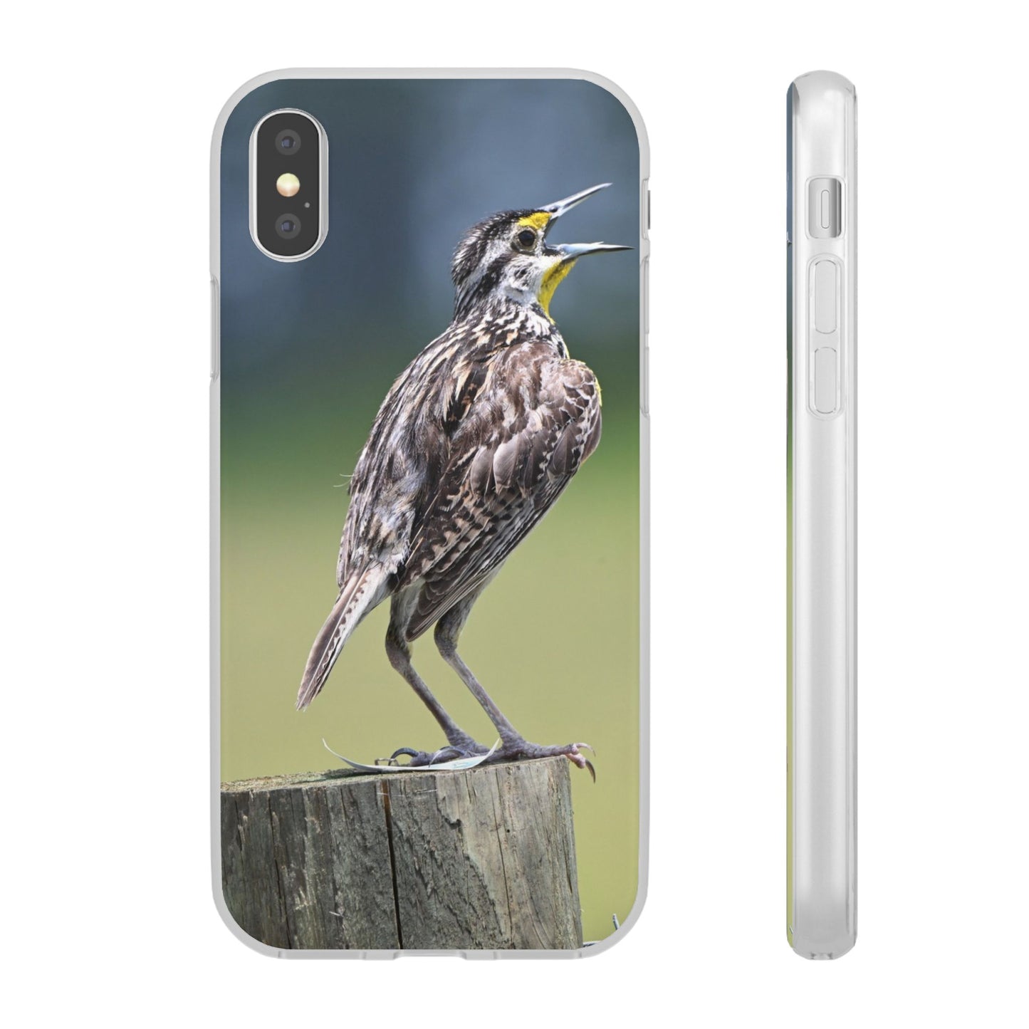 Singing Meadowlark Phone Case – Nature Bird Photo Flexi Case