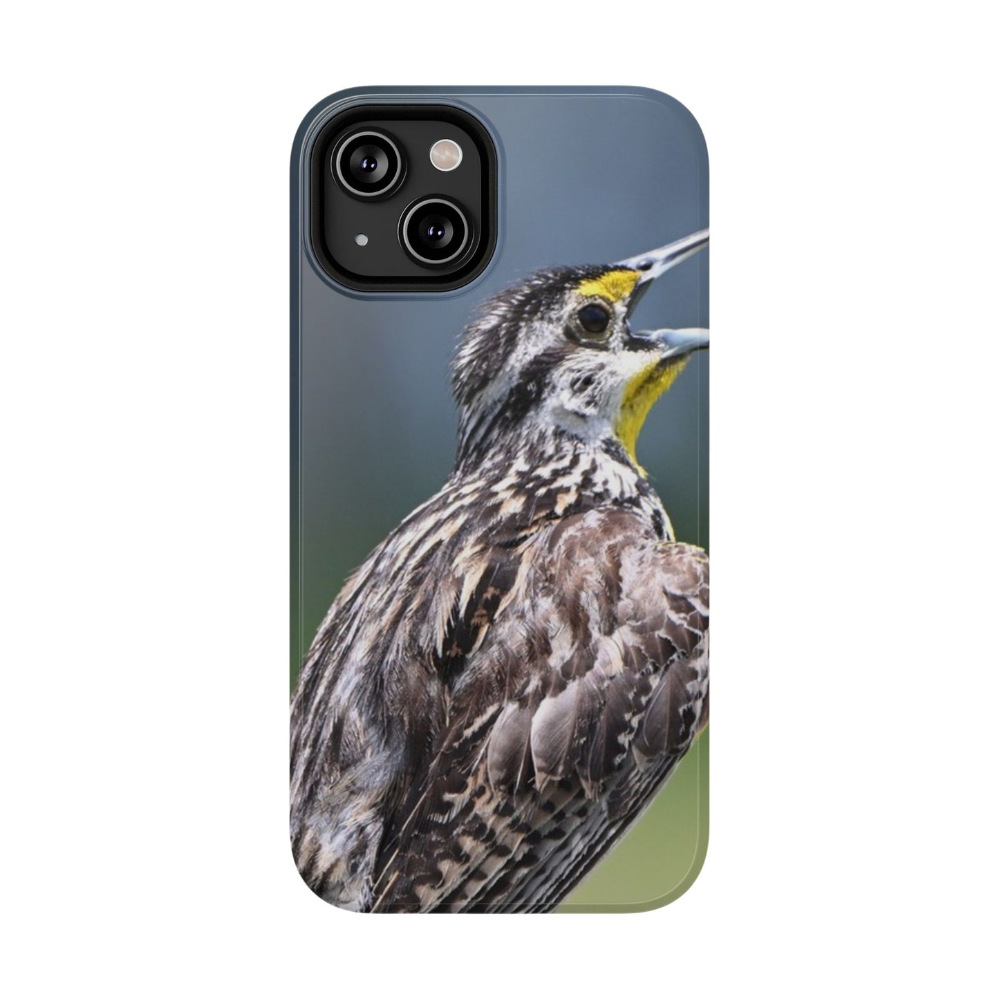 Western Meadowlark Photo Phone Case — Impact-Resistant Protective Cover