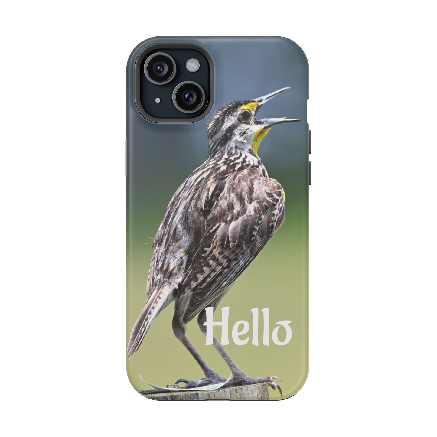 Bird-Themed Magnetic Tough Cases with 'Hello', Stylish Phone Protectors, Gifts for Nature Lovers, Birdwatching Accessories, Wildlife [...]