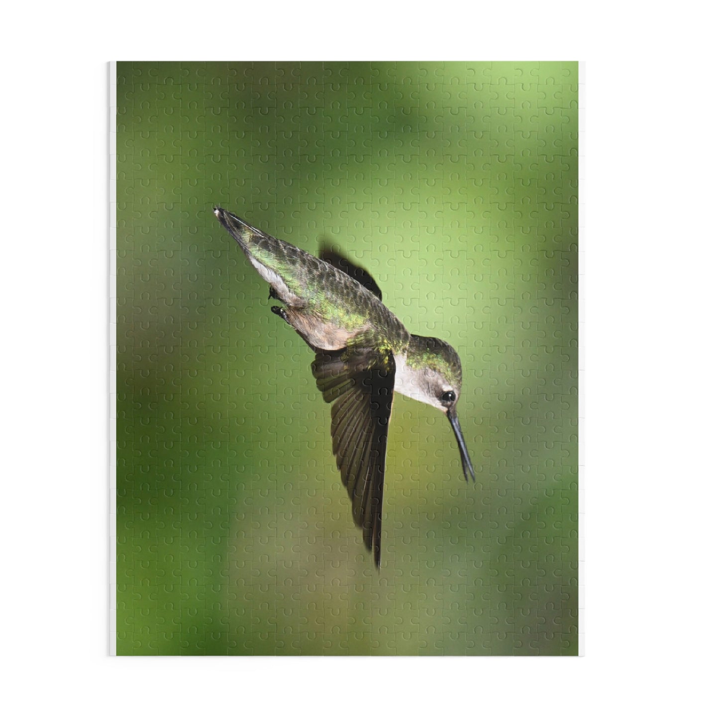 Hummingbird Puzzle - Nature Lover Gift, Bird Watching Decor, Jigsaw Fun for Family, Relaxing Game, Perfect for all Ages