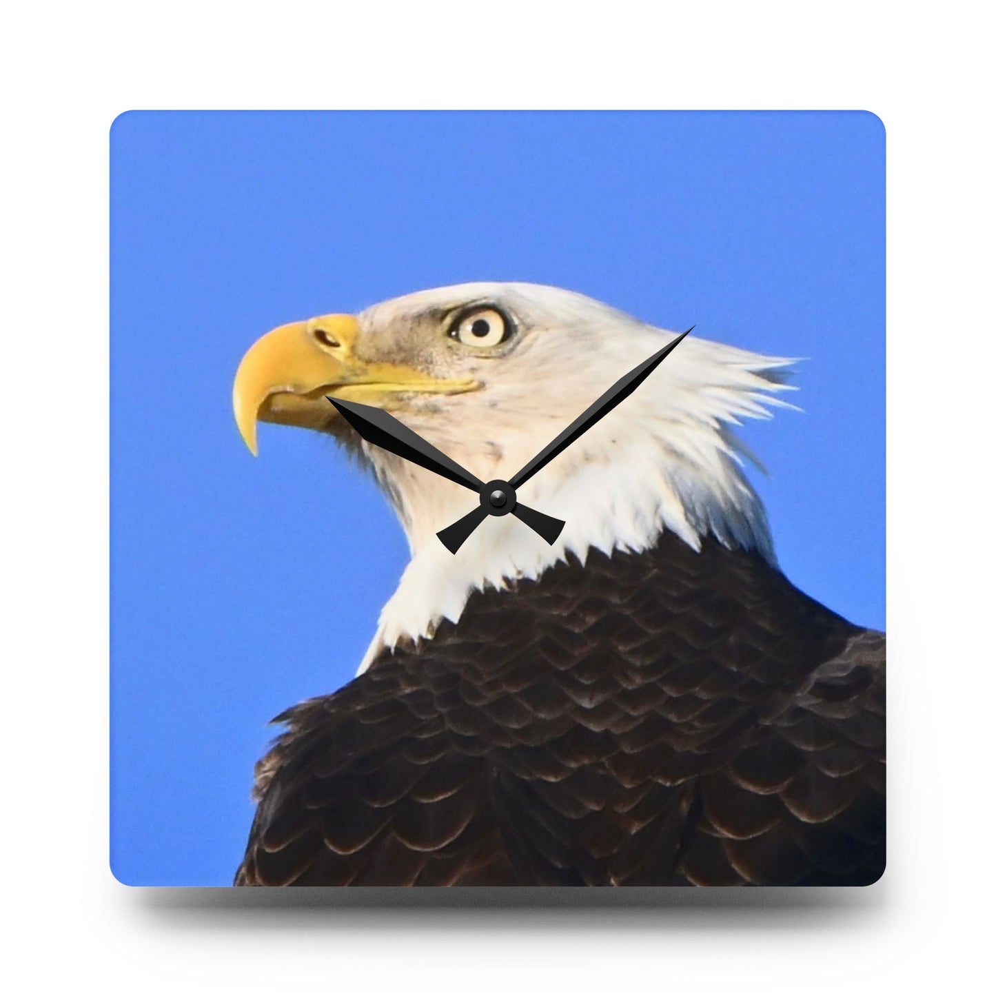 Bald Eagle Acrylic Wall Clock — Patriotic Wildlife Home Decor