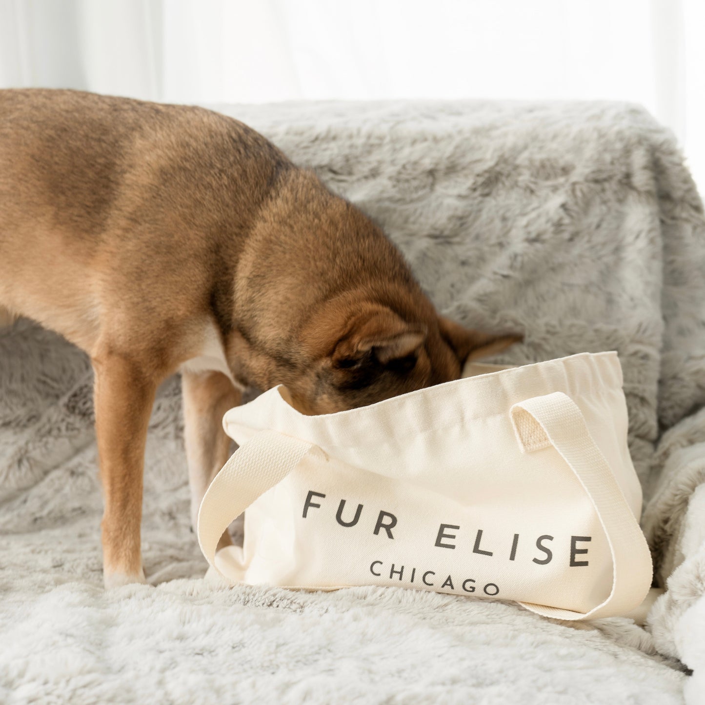 Logo Canvas Tote Bag