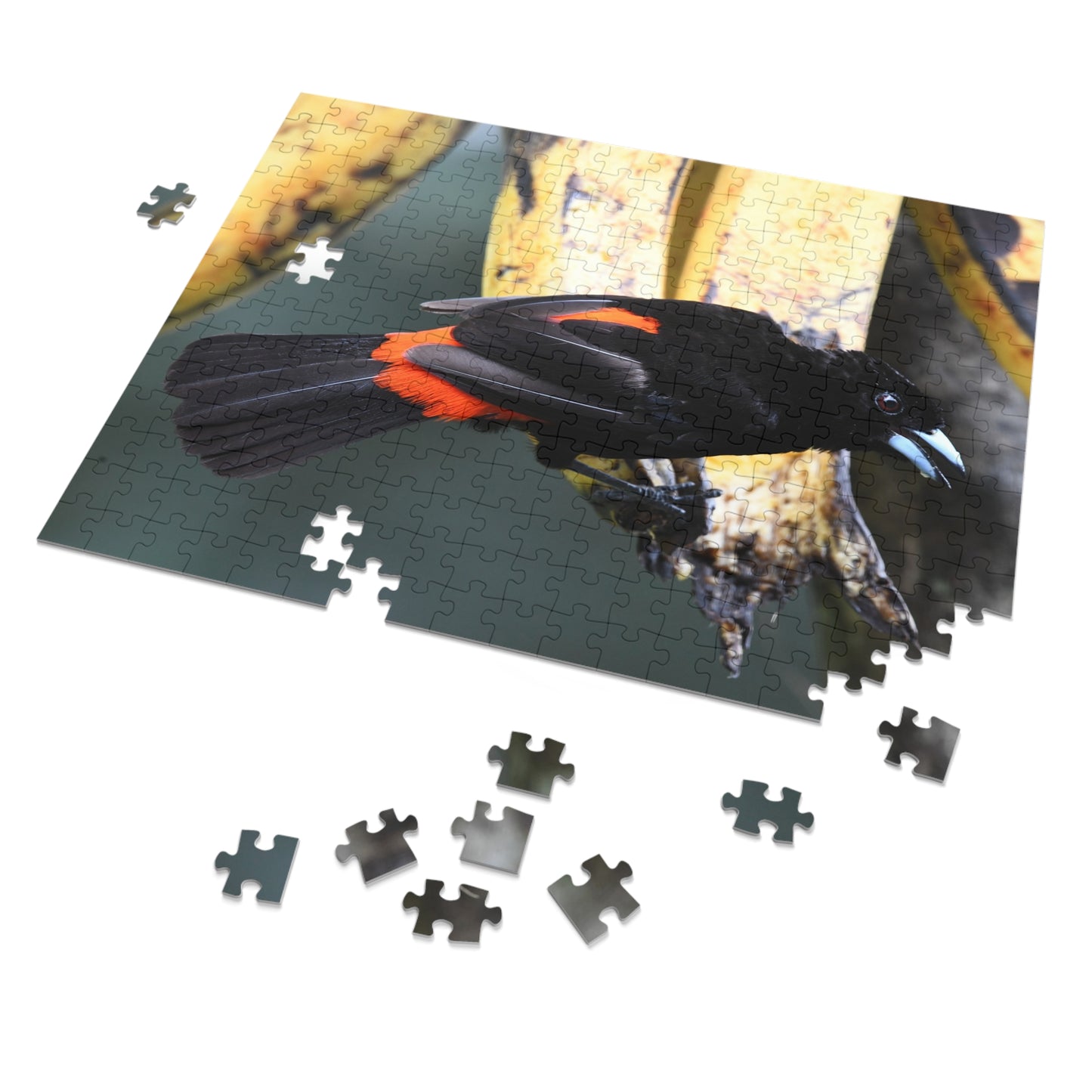 Bird-Themed Jigsaw Puzzle with Tin - Perfect Gift for Nature Lovers, Family Game Night, Eco-Friendly Home Decor, Educational Activity.
