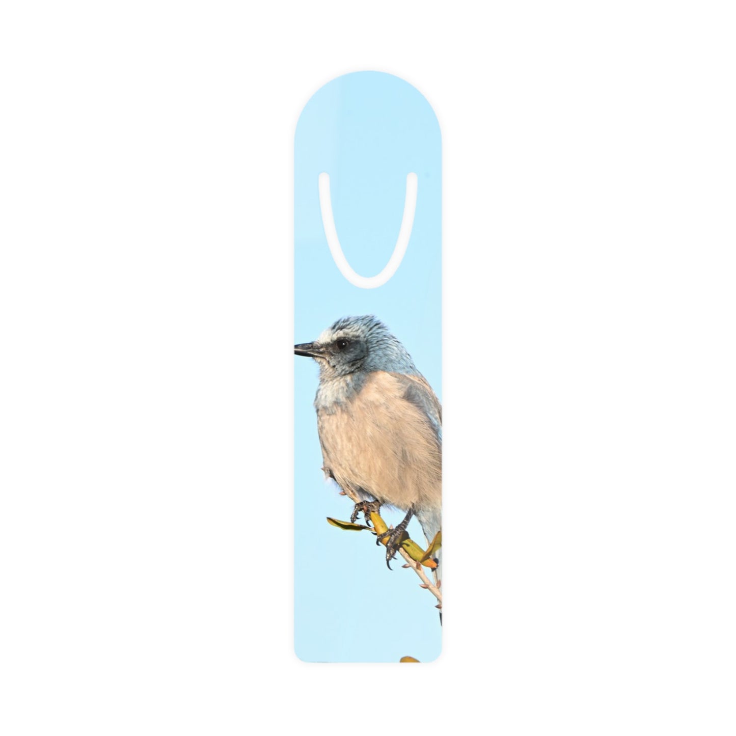 Bluebird Metal Bookmark – Nature Bird Bookmark for Readers & Gifts