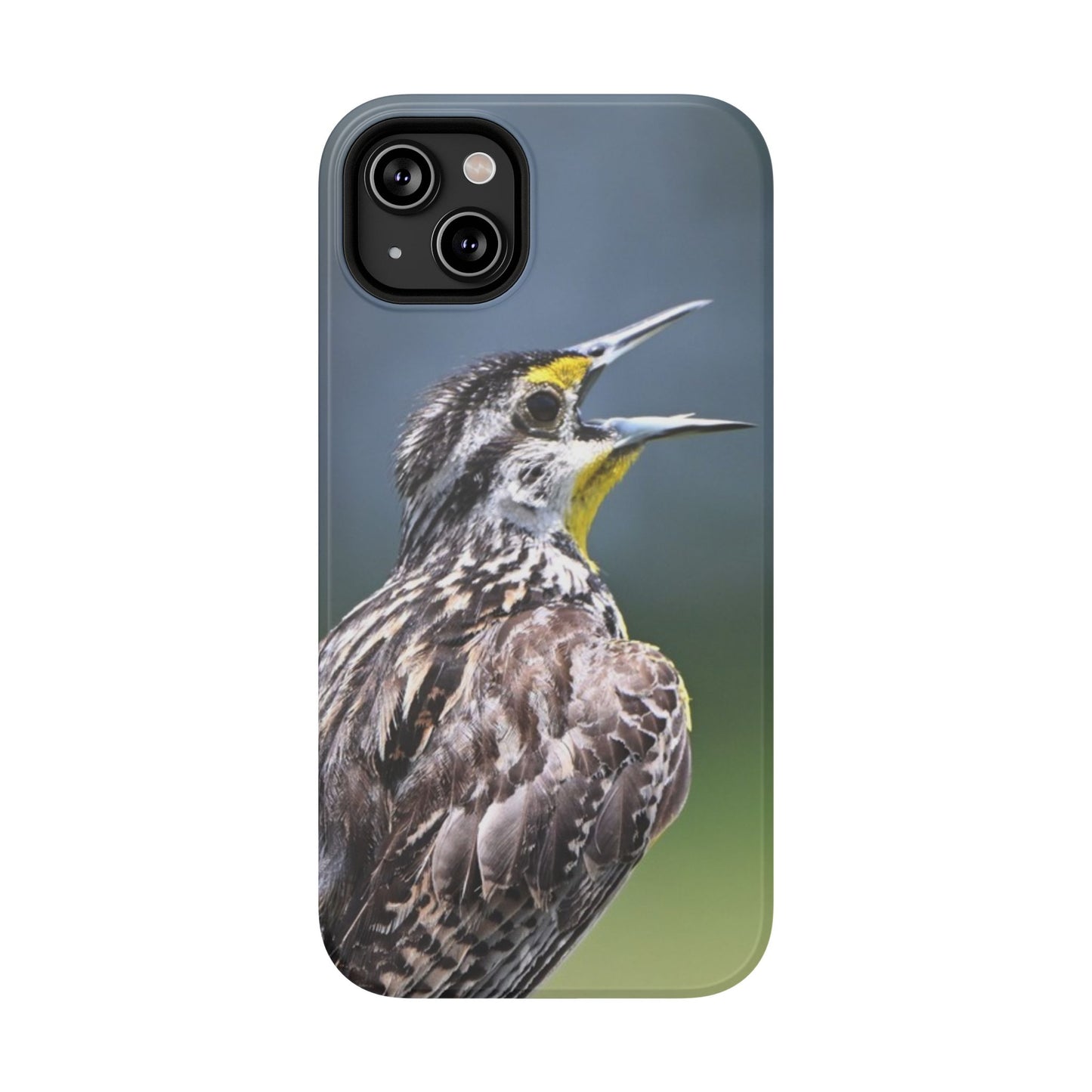 Western Meadowlark Photo Phone Case — Impact-Resistant Protective Cover