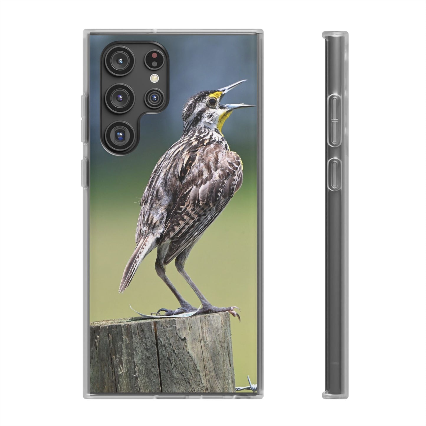 Singing Meadowlark Phone Case – Nature Bird Photo Flexi Case