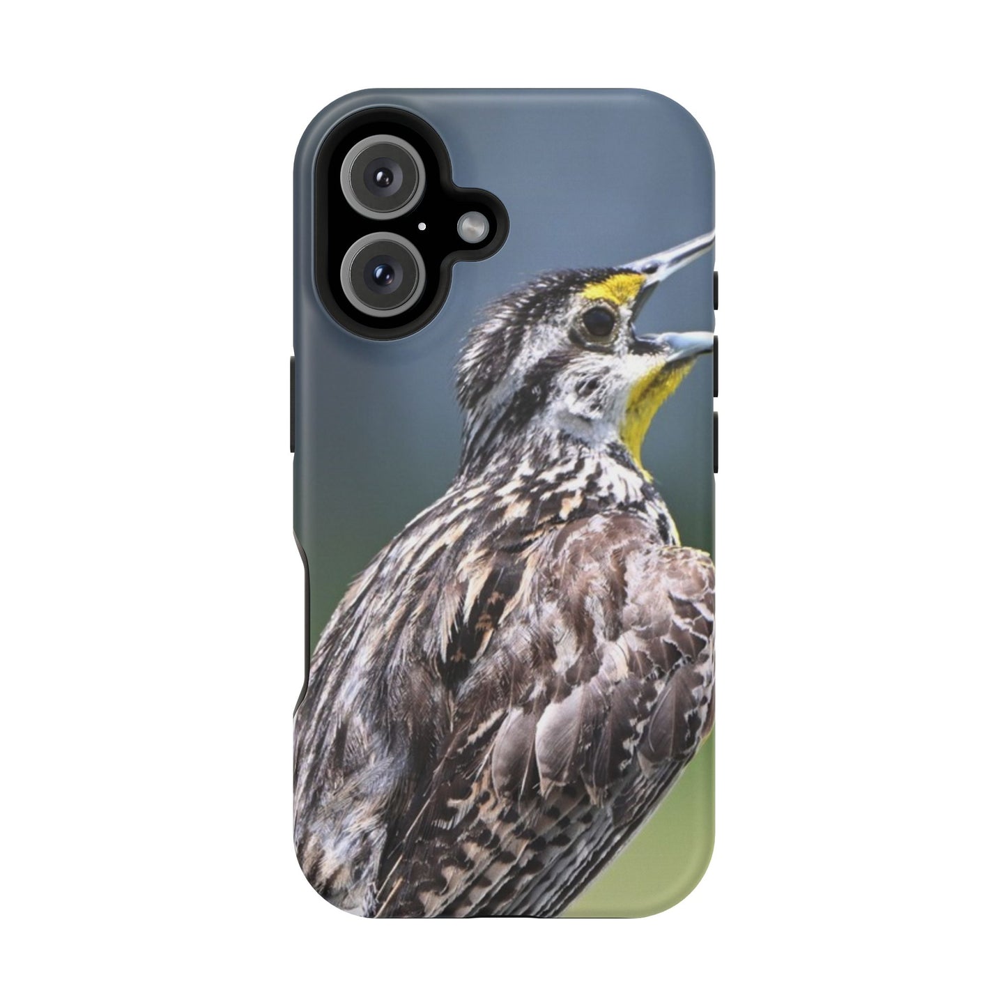 Western Meadowlark Photo Phone Case — Impact-Resistant Protective Cover