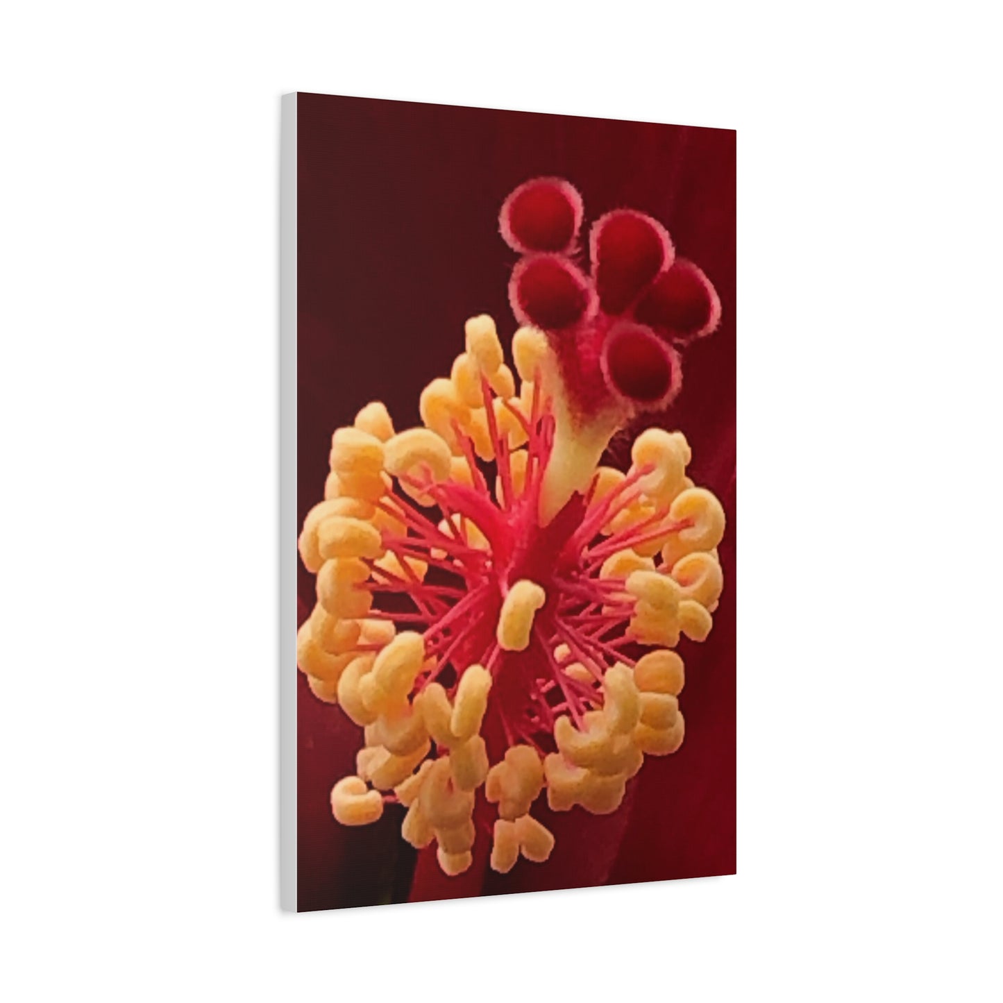Floral Canvas Art Print, Stretched Wall Decor, Home Decor, Botanical Artwork, Modern Wall Art, Gift for Flower Lovers