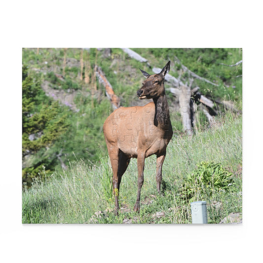 Elk Puzzle Game, Nature-Based Fun, Wildlife Lover Gift, Family Game Night, Educational Activity, Relaxing Hobby