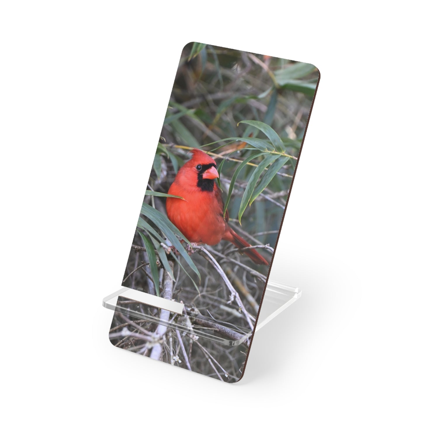 Cardinal Photo Phone Stand — Foldable Mobile Display Stand for Smartphones