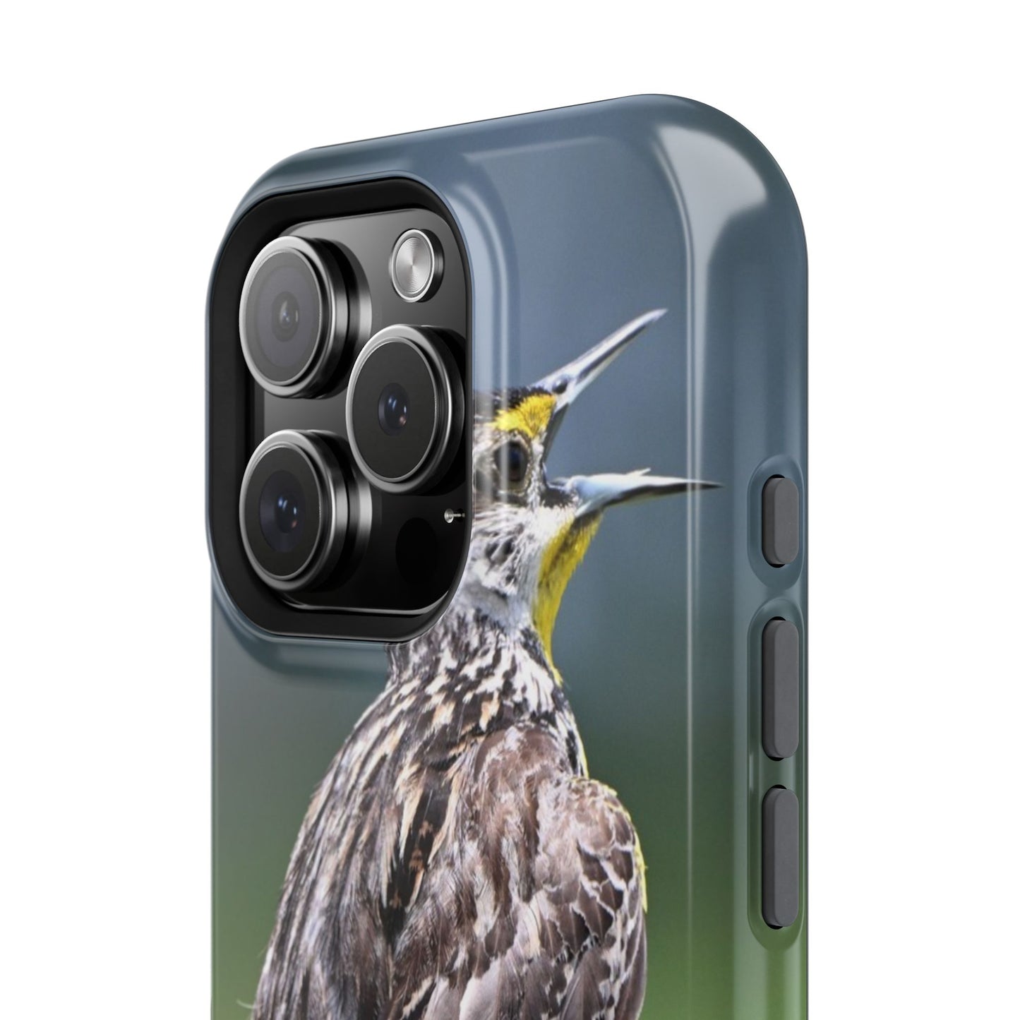 Bird-Themed Magnetic Tough Cases with 'Hello', Stylish Phone Protectors, Gifts for Nature Lovers, Birdwatching Accessories, Wildlife [...]