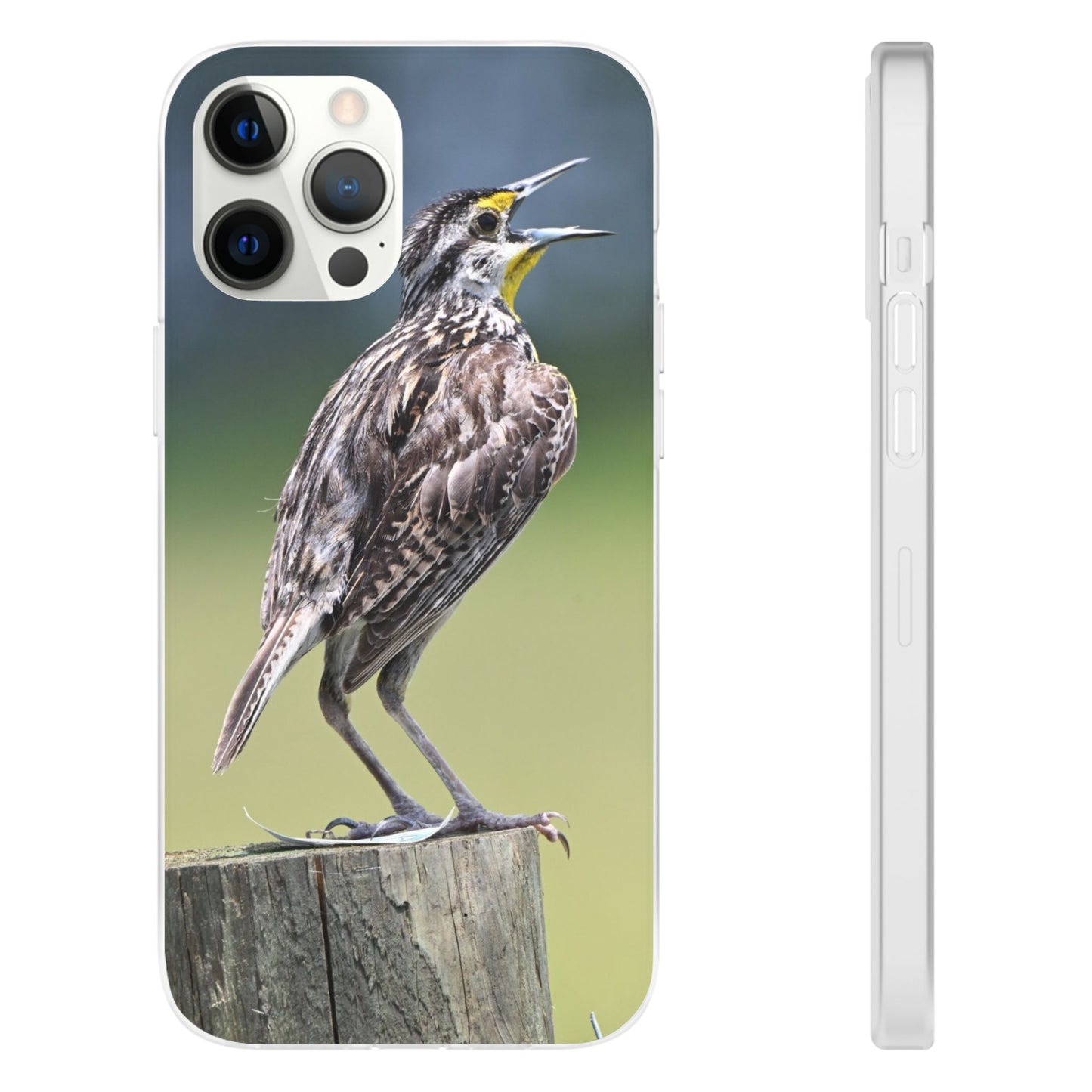 Singing Meadowlark Phone Case – Nature Bird Photo Flexi Case