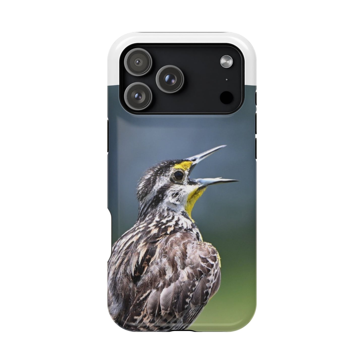 Western Meadowlark Photo Phone Case — Impact-Resistant Protective Cover