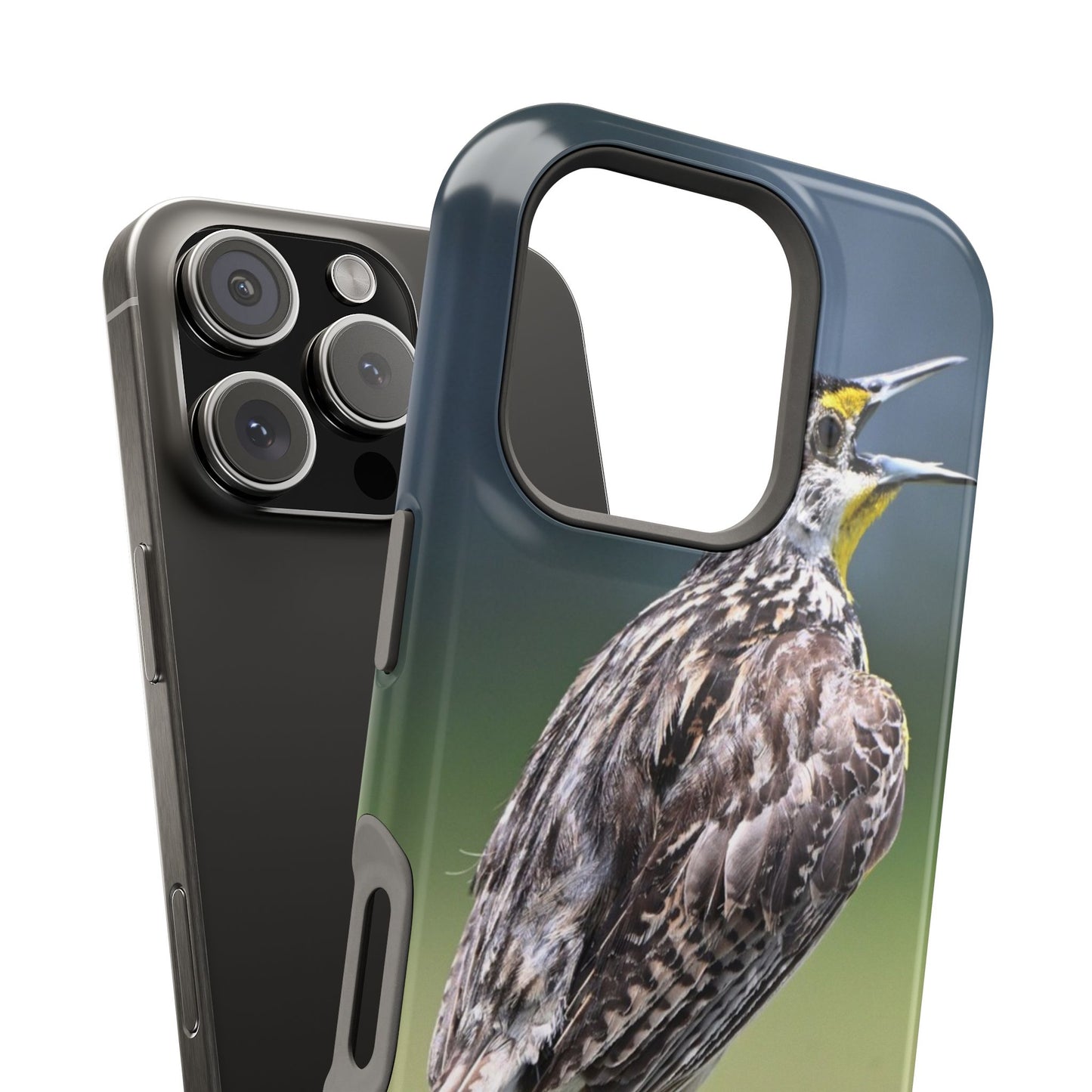 Bird-Themed Magnetic Tough Cases with 'Hello', Stylish Phone Protectors, Gifts for Nature Lovers, Birdwatching Accessories, Wildlife [...]