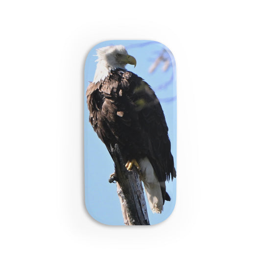 Eagle Phone Grip Stand, Wildlife Cell Phone Holder, Bird Lover Gift, Nature Decor, Unique Tech Accessory