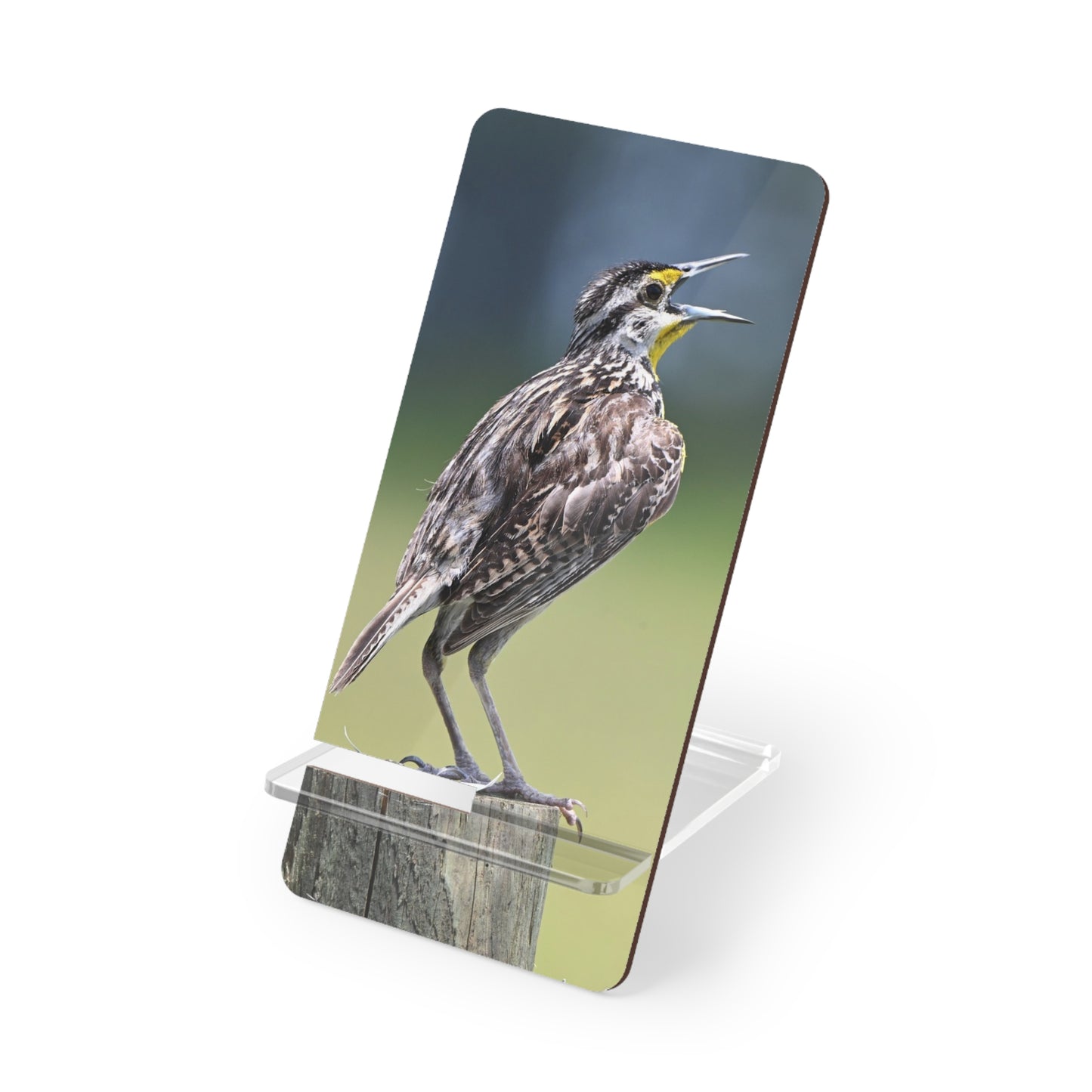 Singing Meadowlark Smartphone Stand — Clear Mobile Display Stand