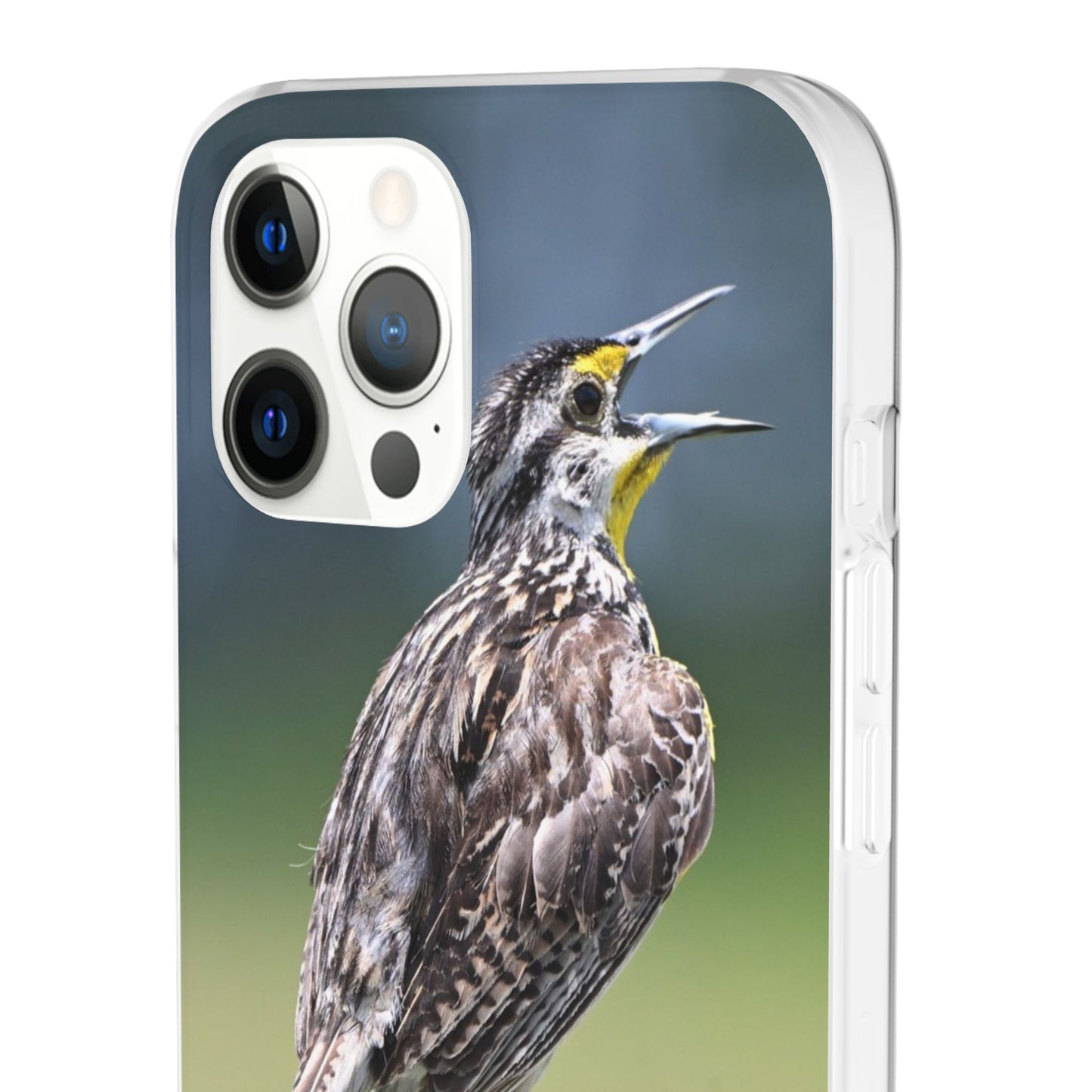 Singing Meadowlark Phone Case – Nature Bird Photo Flexi Case