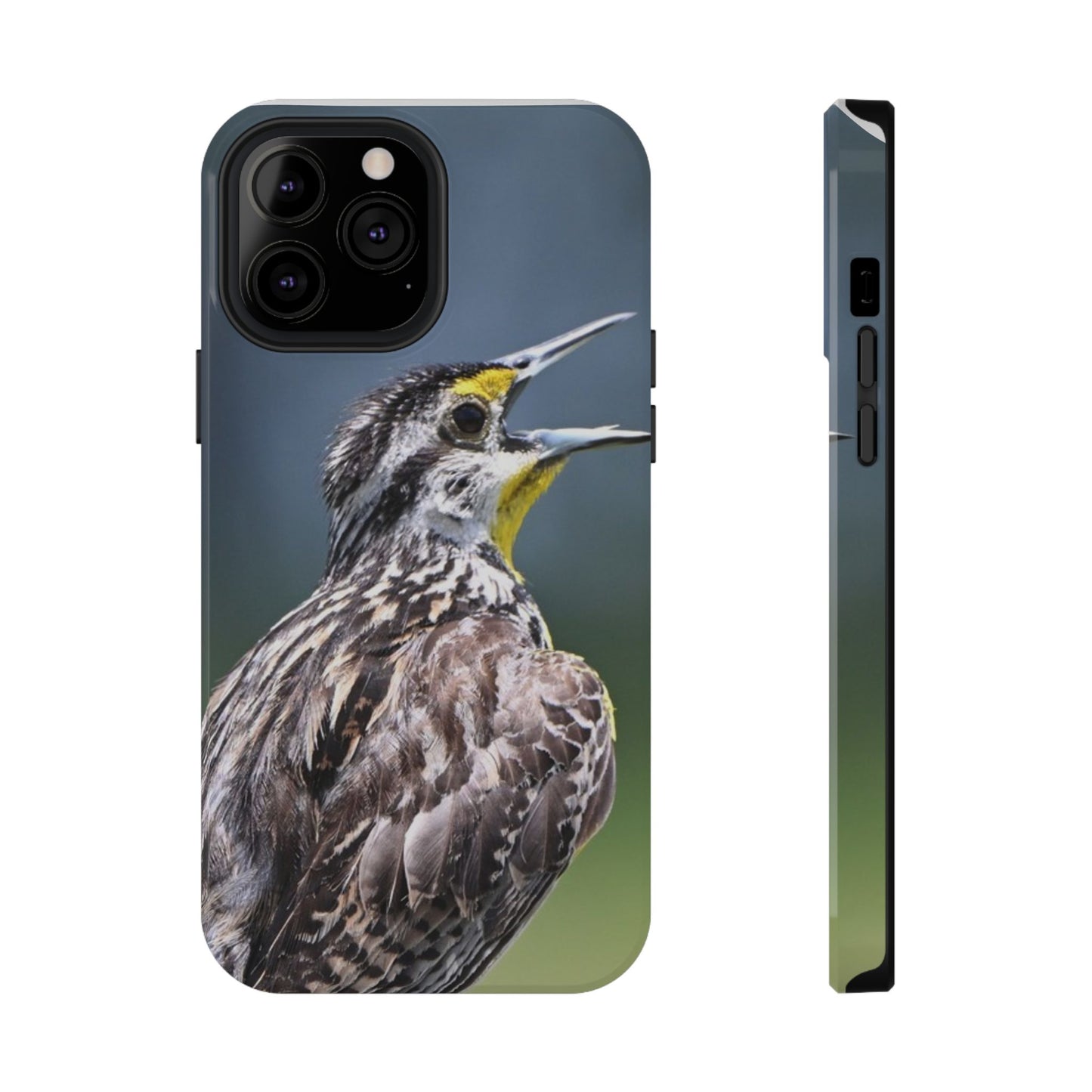 Western Meadowlark Photo Phone Case — Impact-Resistant Protective Cover