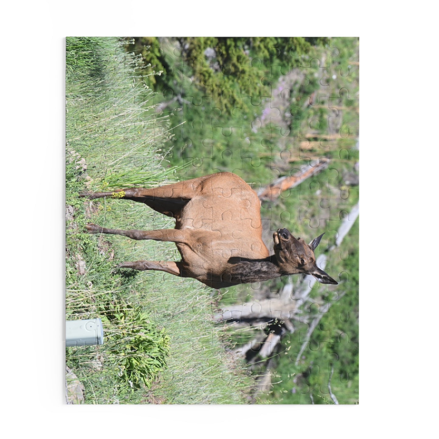 Elk Puzzle Game, Nature-Based Fun, Wildlife Lover Gift, Family Game Night, Educational Activity, Relaxing Hobby