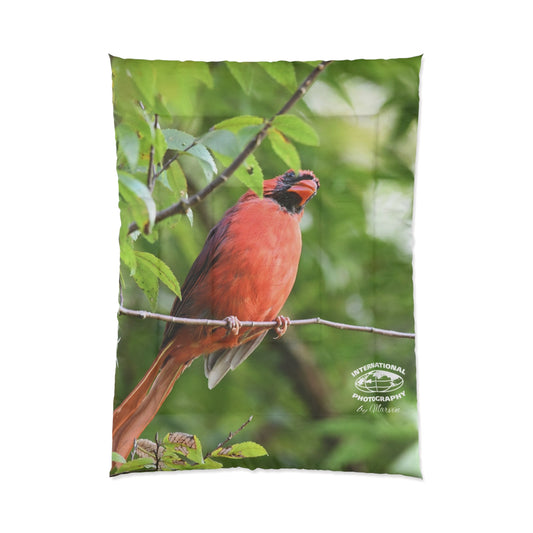 Cardinal Bird Comforter – Red Northern Cardinal Nature Print Bedding
