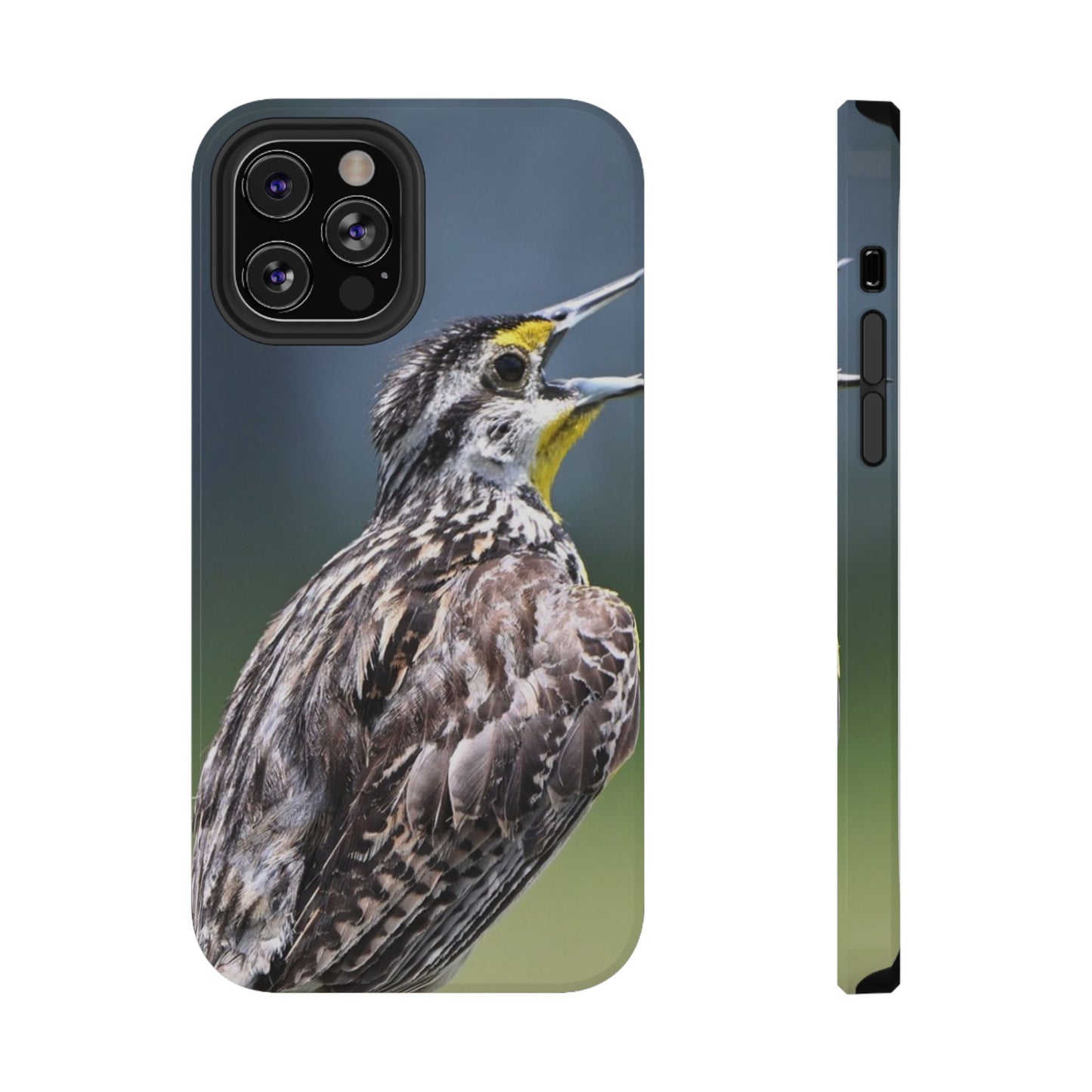 Western Meadowlark Photo Phone Case — Impact-Resistant Protective Cover