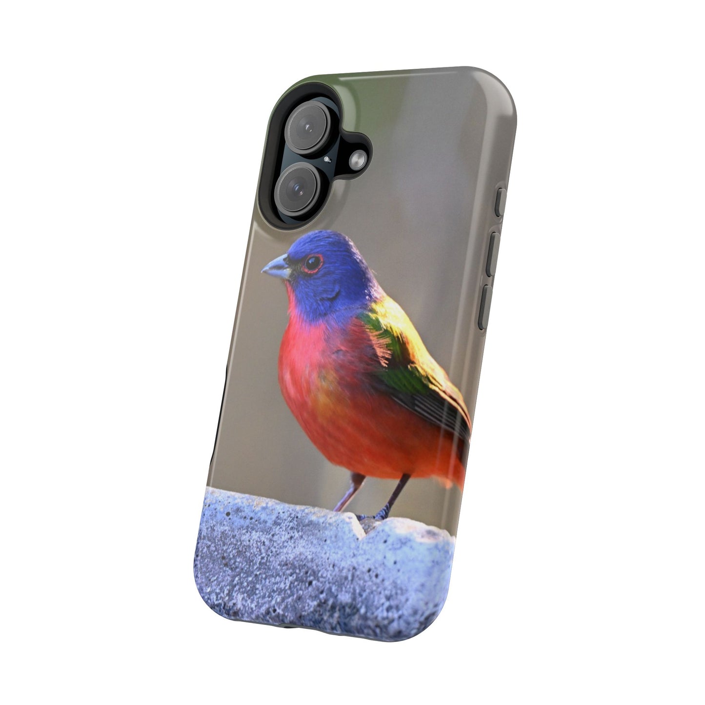 Colorful Bird Phone Case, Magnetic Tough Cases, Nature Lover Gift, Wildlife Phone Cover, Eco-Friendly Tech Accessories