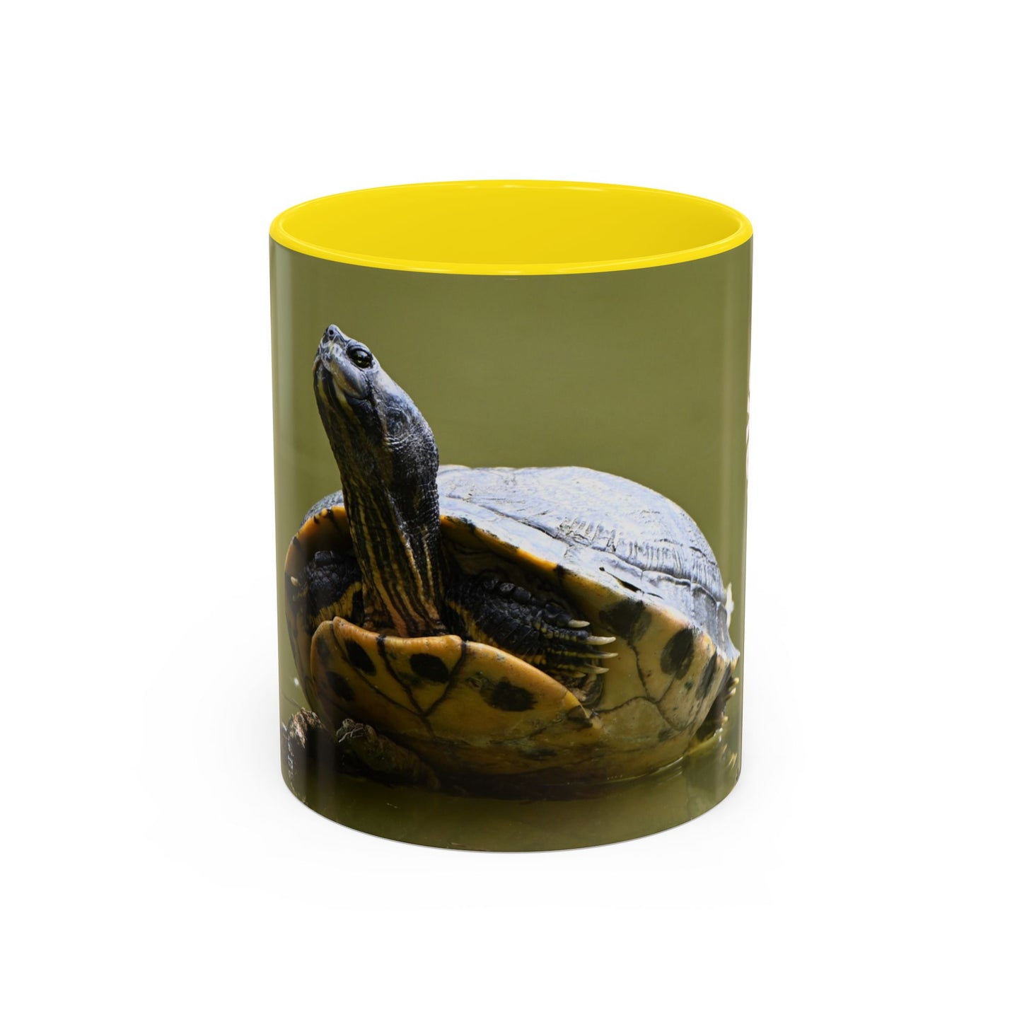 Turtle Coffee Mug — "Always Keep Your Head Up" Inspirational Accent Mug (11/15 oz)