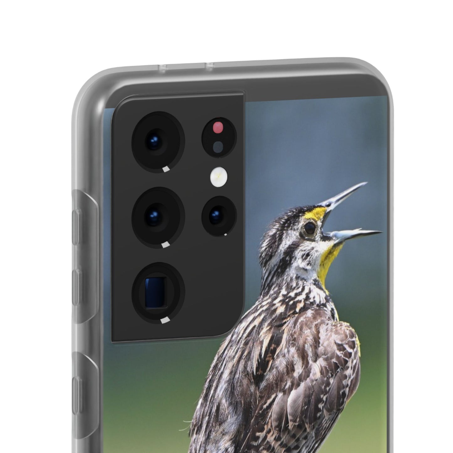 Singing Meadowlark Phone Case – Nature Bird Photo Flexi Case