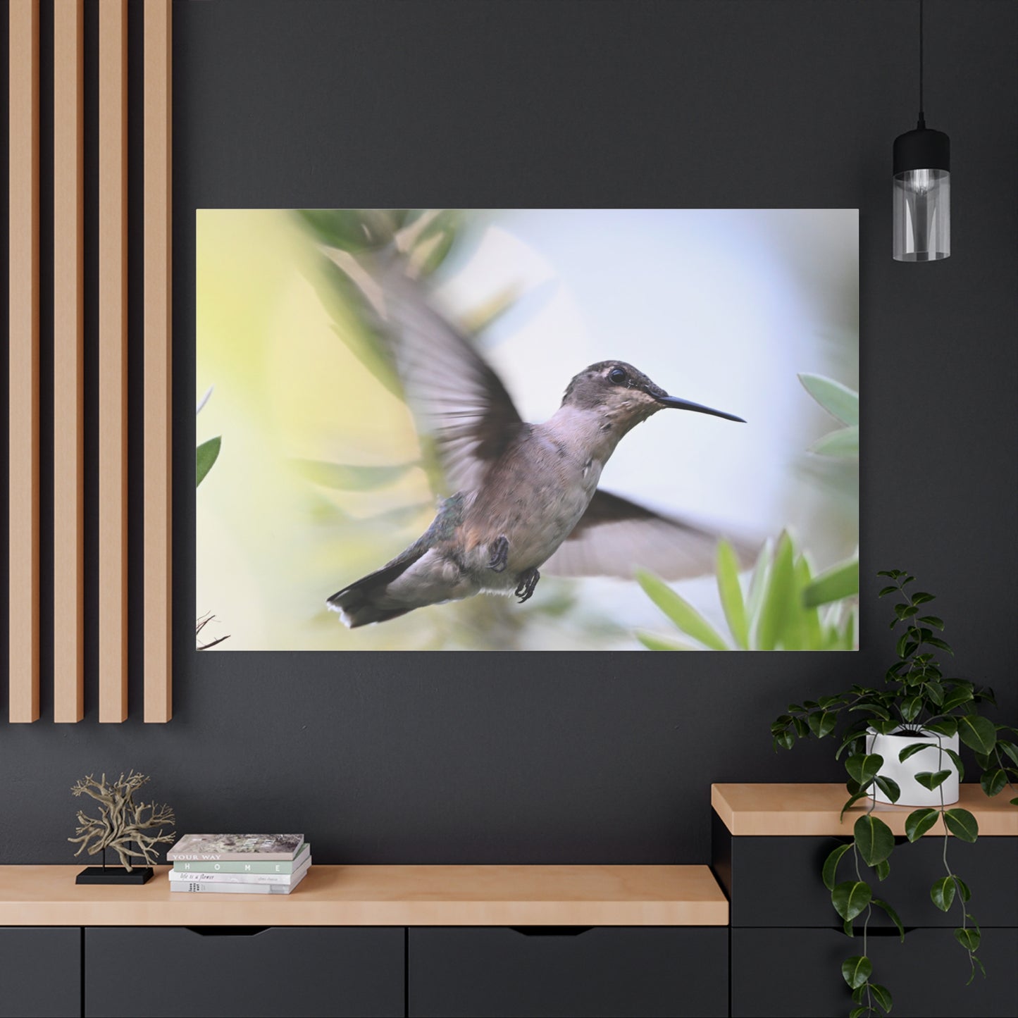 Hummingbird Canvas Wall Art — Matte Stretched 1.25"
