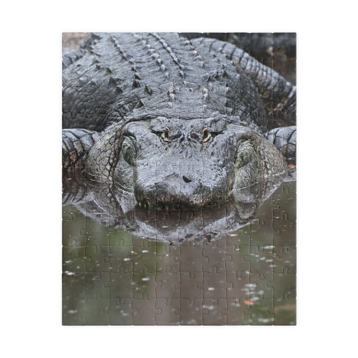 Alligator Puzzle - 110, 252, 520, 1014-Piece Jigsaw, Animal Lovers Gift, Family Game Night, Nature Decor, Unique Home Activity