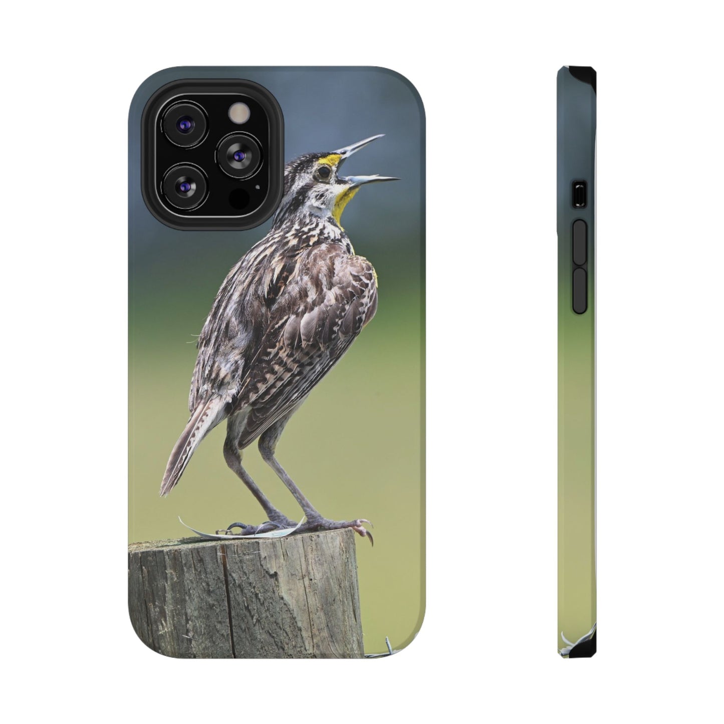 Western Meadowlark Photo Phone Case — Impact-Resistant Protective Cover