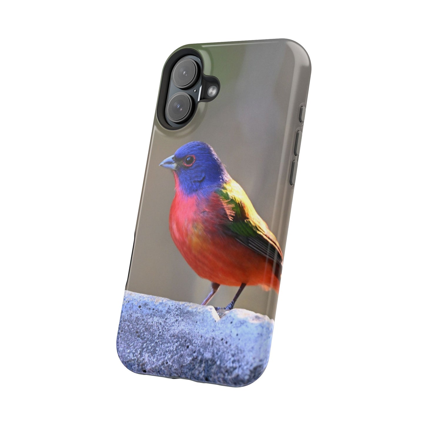 Colorful Bird Phone Case, Magnetic Tough Cases, Nature Lover Gift, Wildlife Phone Cover, Eco-Friendly Tech Accessories