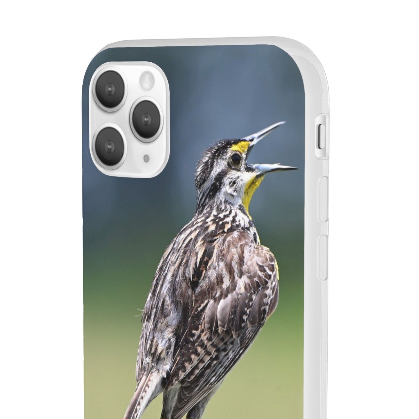 Singing Meadowlark Phone Case – Nature Bird Photo Flexi Case