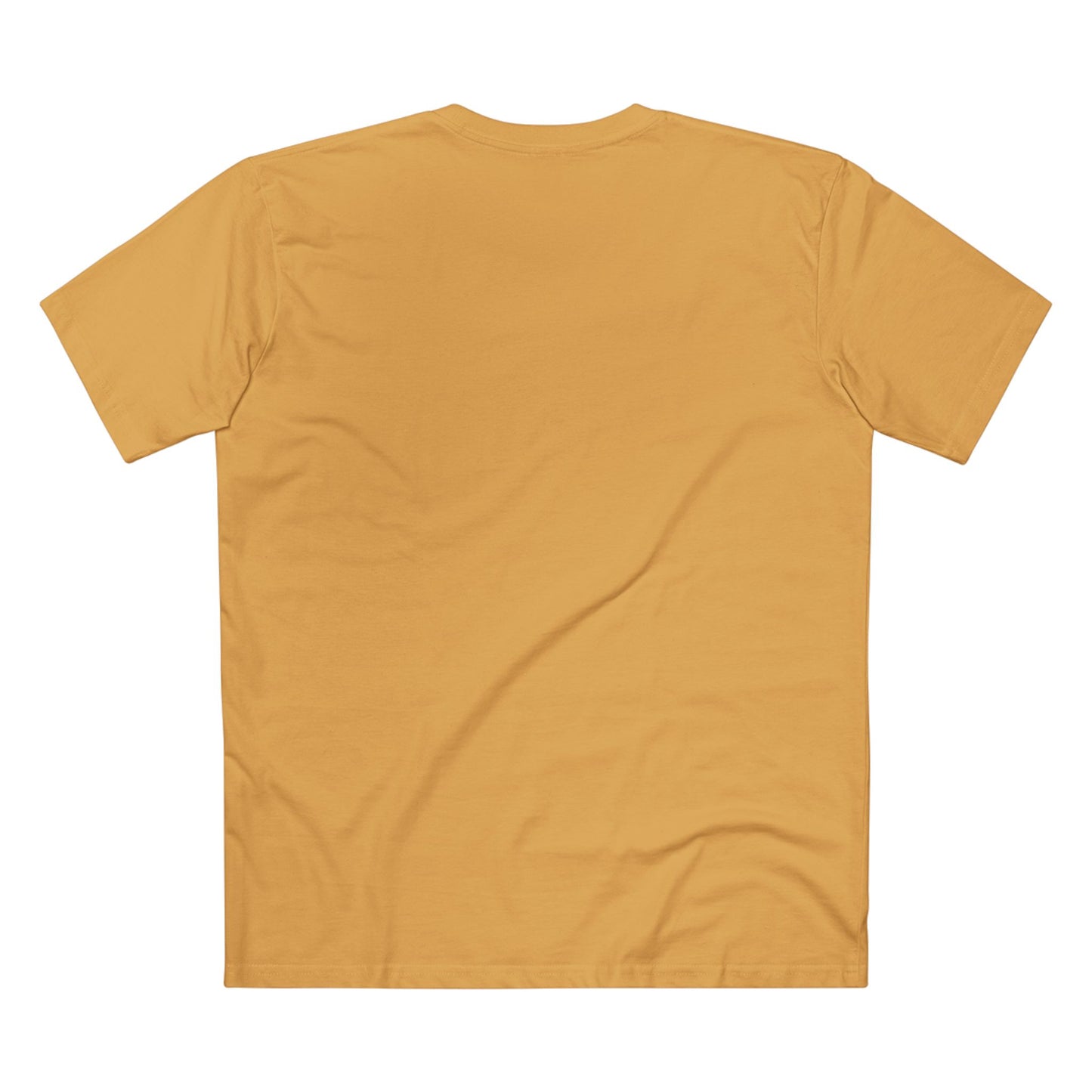 Turtle Photo Tee — 'Hold Your Head Up' Graphic Shirt