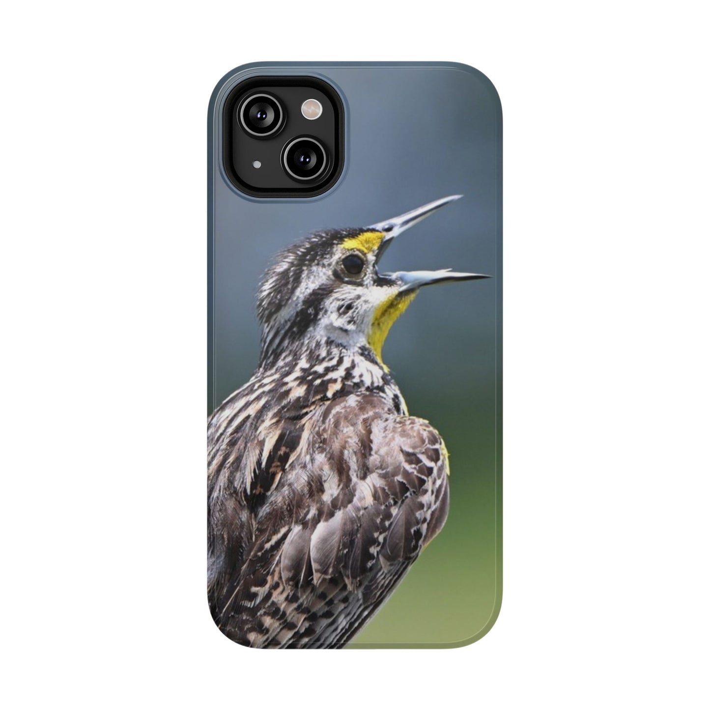 Western Meadowlark Photo Phone Case — Impact-Resistant Protective Cover