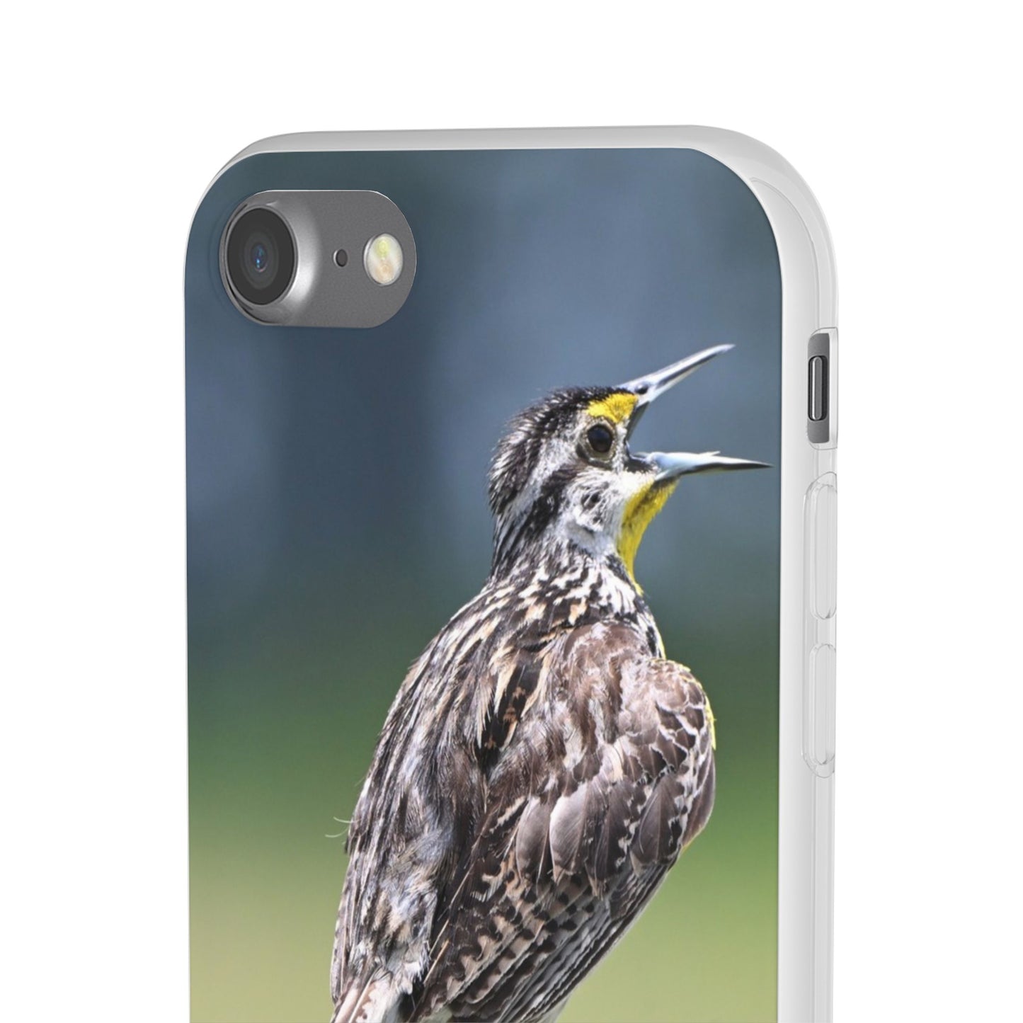 Singing Meadowlark Phone Case – Nature Bird Photo Flexi Case