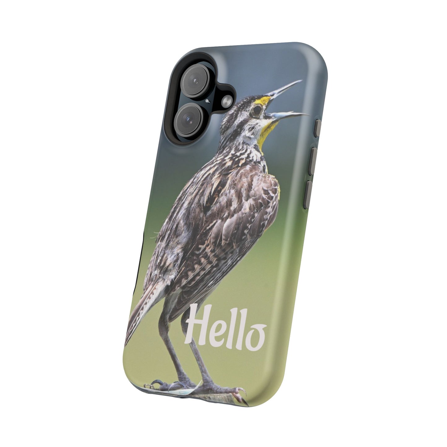 Bird-Themed Magnetic Tough Cases with 'Hello', Stylish Phone Protectors, Gifts for Nature Lovers, Birdwatching Accessories, Wildlife [...]